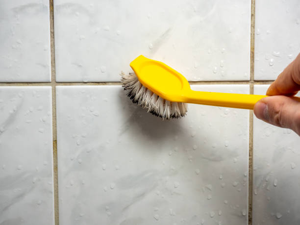 Best Black Mold Removal  in Gueydan, LA
