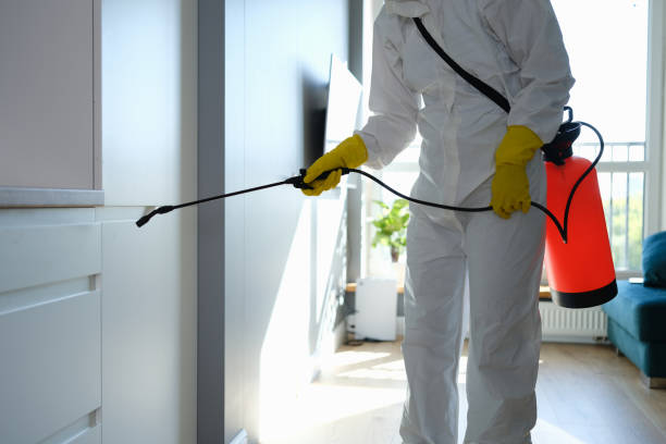 Best Commercial Mold Removal  in Gueydan, LA